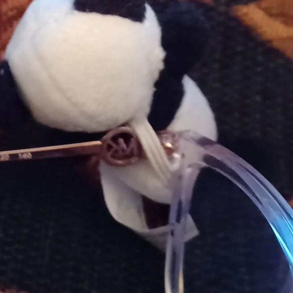 New Vintage Icon Eyewear Kids Eyeglasses buddy / Pal Panda Fit All Glasses